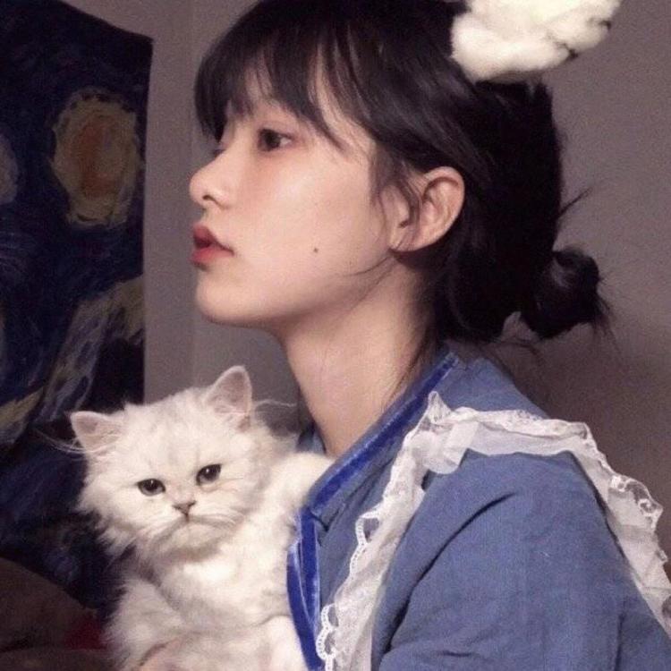 吉田俊司 - 山口珠理影片高清在线播放19 - 电脑看电影